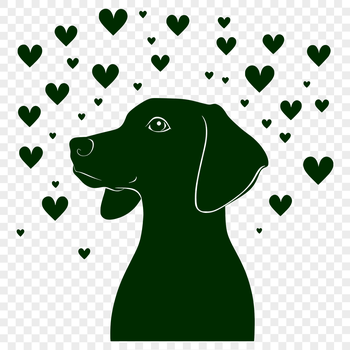 A vector illustration of a Weimaraner dog with red heart-shaped balloons attached to its collar.