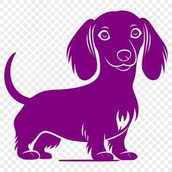 A full-body illustration of a standing dachshund dog in a neutral pose.