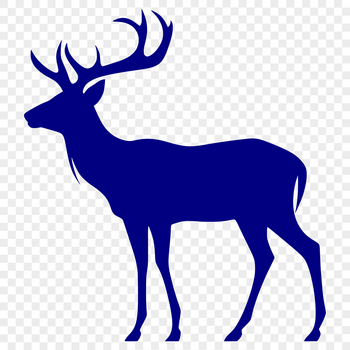 A digital silhouette of a white-tailed deer in full body form, suitable for vector art design.