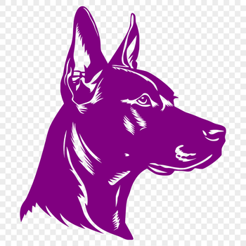 Close-up illustration of a Doberman Pinscher's head, suitable for vector art design.