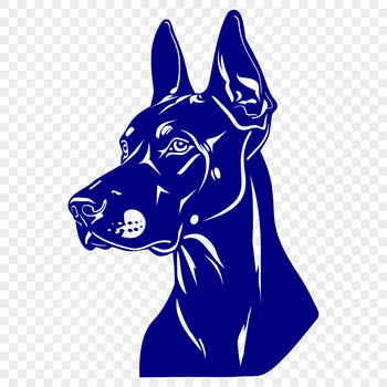 A Doberman Pinscher breed dog with a distinctive head shape and ears, depicted in vector format.