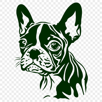 A stylized illustration of a Boston Terrier's head.
