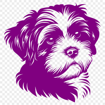 A high-quality digital illustration of a Havanese dog's head, suitable for vector art and commercial or personal use.
