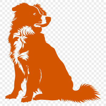 A sitting Australian Shepherd dog with a full body pose.