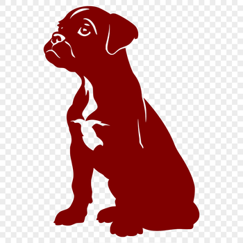 An animal portrait of a seated Boxer in vector format.