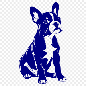 A full-body illustration of a Boston Terrier sitting on its haunches, suitable for vector art designs.