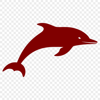 A high-quality digital illustration of a dolphin in full body view, suitable for various graphic designs.