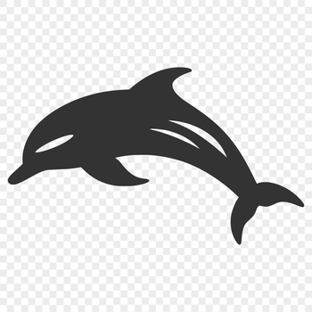 A digital illustration of a full-bodied dolphin, showcasing its anatomical features.
