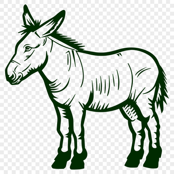 A digital illustration of a standing donkey in full body pose.