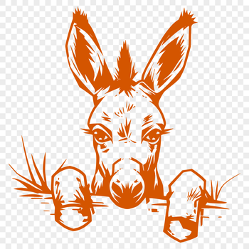 A cute cartoon donkey facing the viewer with its head visible in full, created using vector design elements.