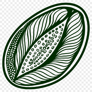 An illustration of a single coffee bean in a stylized format.