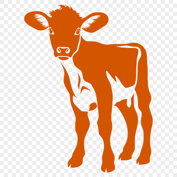 A detailed illustration of a cow standing in a green field with its head lowered to graze.