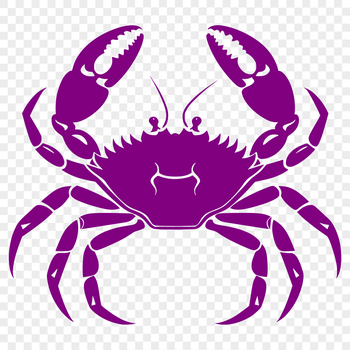 A detailed, full-body illustration of a crab, suitable for vector art and cutting machine designs.