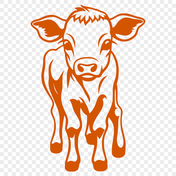 A full-body illustration of a calf standing on a farm with a bright green background.