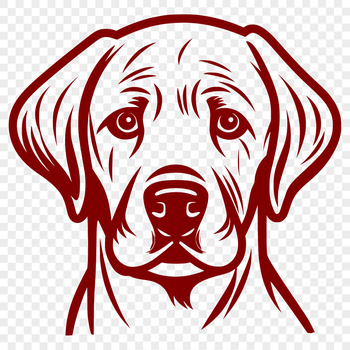 A high-quality digital illustration of a smiling Labrador Retriever's head.