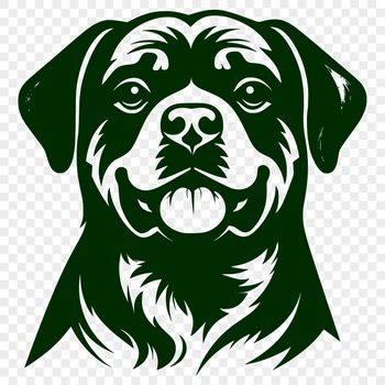 Rottweiler breed dog portrait in vector format.