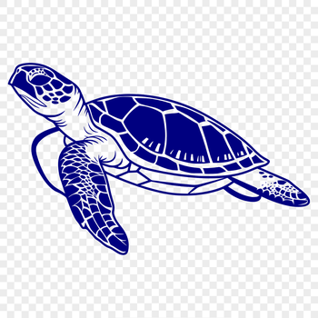 A detailed illustration of a full-body sea turtle in a neutral pose, suitable for clip art or vector design projects.
