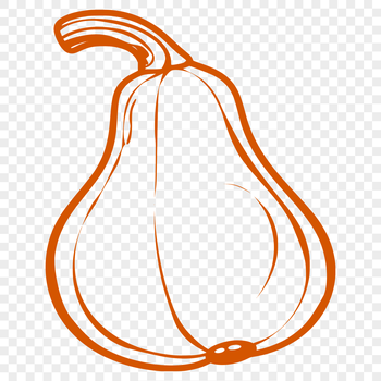 A graphic representation of a mature squash, suitable for various design applications.