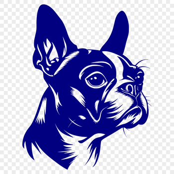 A vector graphic representation of a Boston Terrier's facial features.