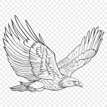 A detailed illustration of an eagle in full-body pose, with wings spread wide.