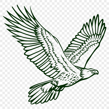 A detailed illustration of a flying eagle in full body view.