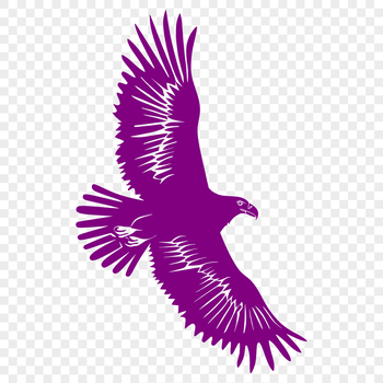 A detailed vector illustration of a majestic bird in mid-flight, representing the American Bald Eagle.