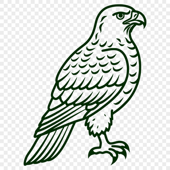 Unique Eagle Design