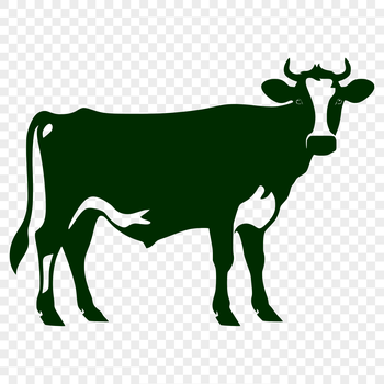 A detailed vector drawing of a single cow standing on a green field or pasture.