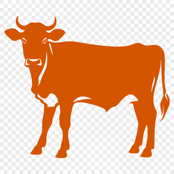 A detailed illustration of a full-body cow in a farm setting.
