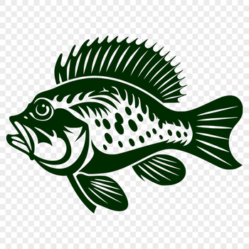 A detailed illustration of a crappie fish, shown in full body view, ideal for use in various design applications.