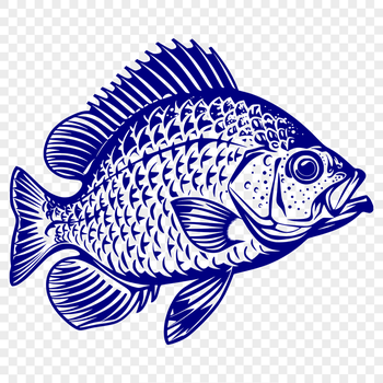 Stunning Fish Clip Art