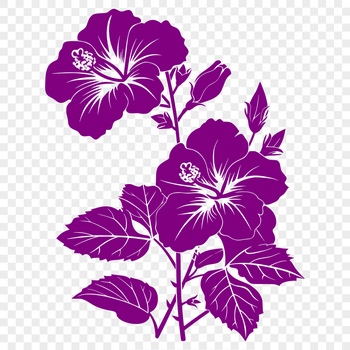 A detailed illustration of a hibiscus flower with prominent petals and center.