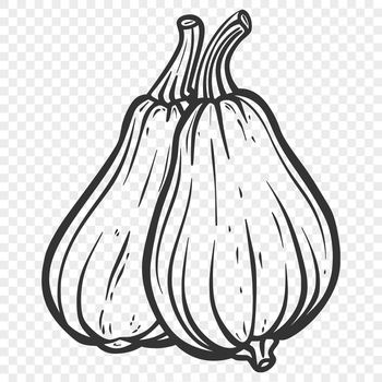 A stylized illustration of a ripe yellow summer squash with green stem.