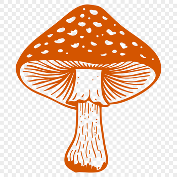 A detailed illustration of a mushroom with realistic texture and shading.