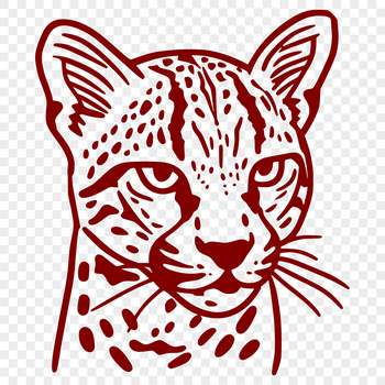 Close-up illustration of a wild ocelot's head, featuring sharp features and whiskers.