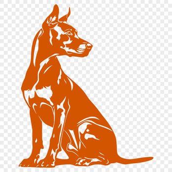 A Doberman Pinscher dog sitting on its hind legs.