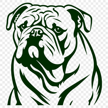 Bulldog dog breed illustration in vector format