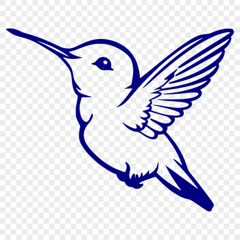 A colorful hummingbird in flight, depicted as a full-body vector illustration.