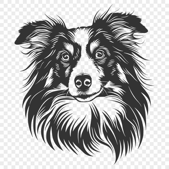 A detailed vector illustration of a Shetland sheepdog's head with expressive facial features.