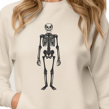 Beautiful Skeleton Clip Art In PDF For Free Download