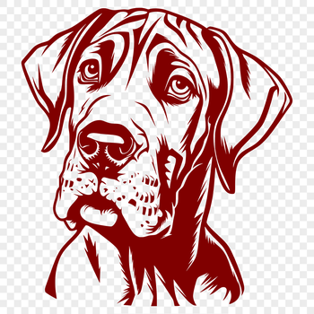 Close-up illustration of a Great Dane's head, suitable for vector art and cutting machine designs.
