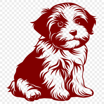 A full-body illustration of a Havanese dog sitting, suitable for vector design.
