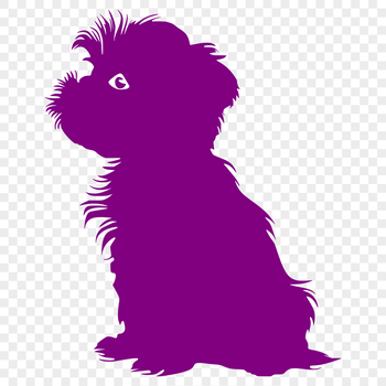 Close-up illustration of a Havanese dog sitting on its haunches, suitable for use in vector graphics projects.