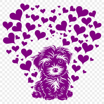 A full-body portrait of a Havanese dog sitting with love hearts surrounding its body.