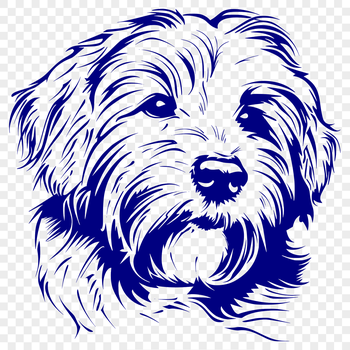 A small, fluffy dog with a friendly expression and erect ears.