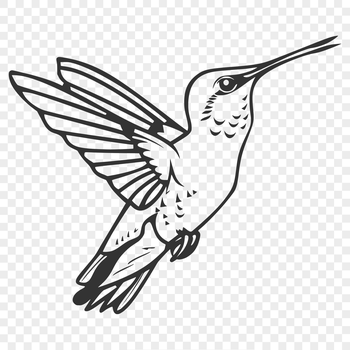 A colorful hummingbird in mid-flight, fully depicted with wings spread.