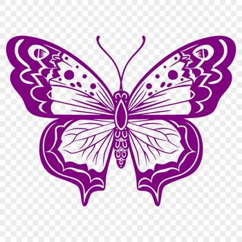 A detailed illustration of a colorful butterfly in full body view, suitable for various design purposes.