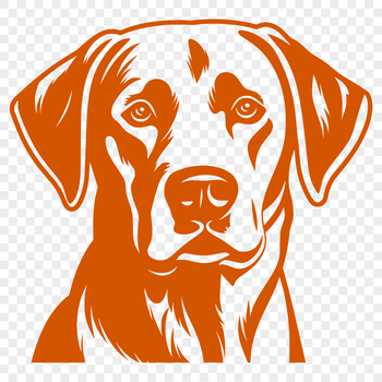 A detailed illustration of a Labrador Retriever's head.