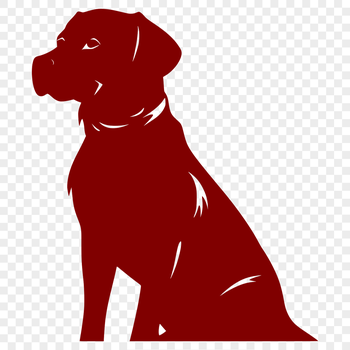 A realistic illustration of a Labrador Retriever, suitable for various graphic design projects.