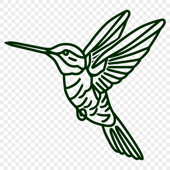 A detailed illustration of a hummingbird in flight, depicted in vector format.